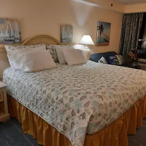 https://a-happy-seashell-story.thedaytonabeachhotels.com
